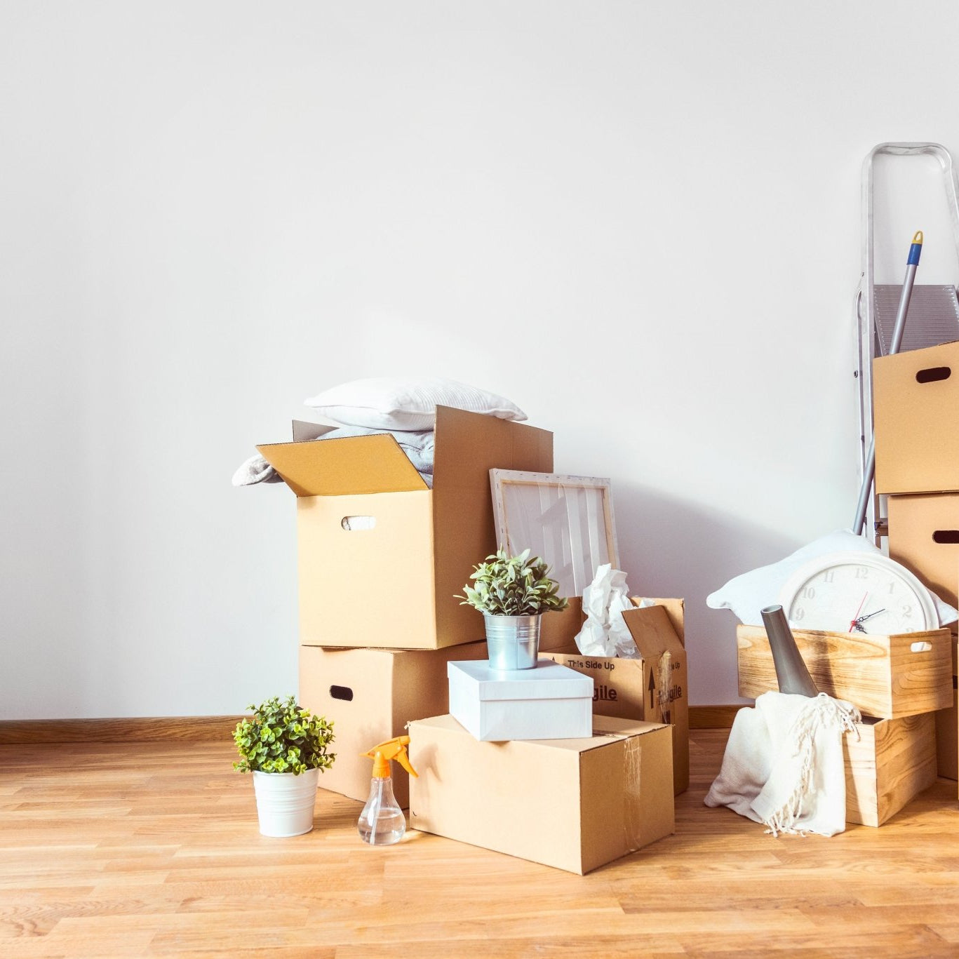 Making Friends After a Move - Lumitory