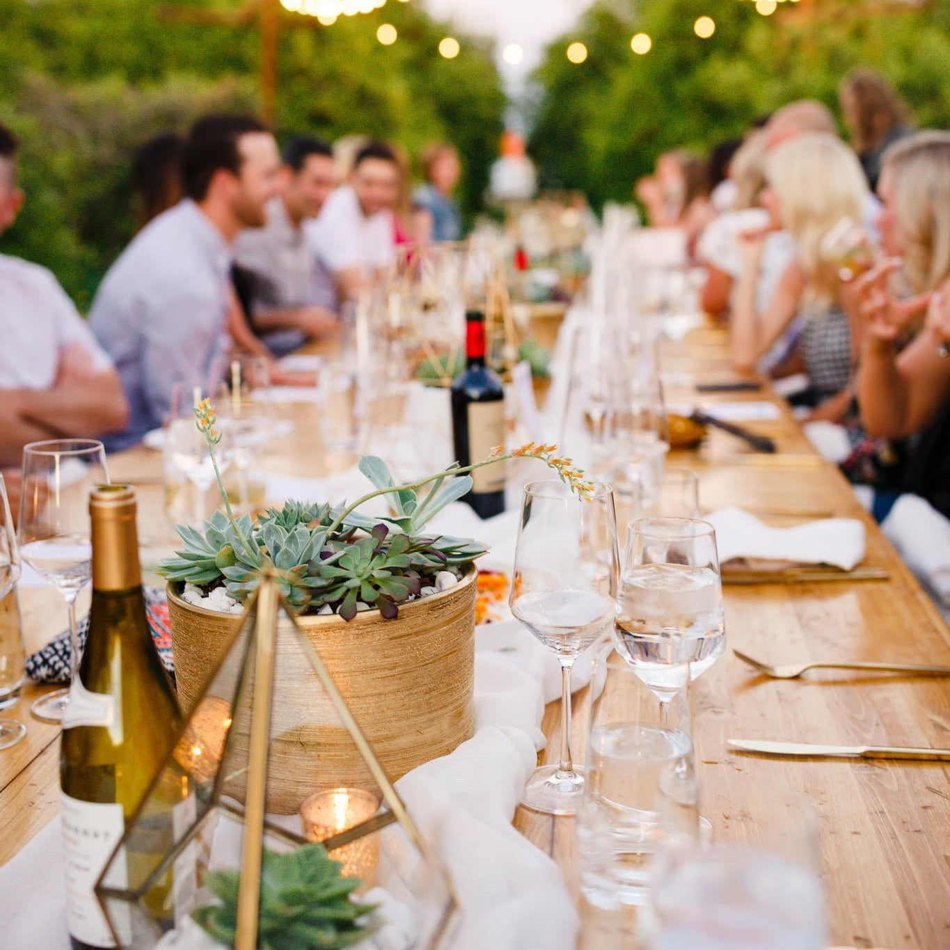 The Heart of Hospitality - Lumitory