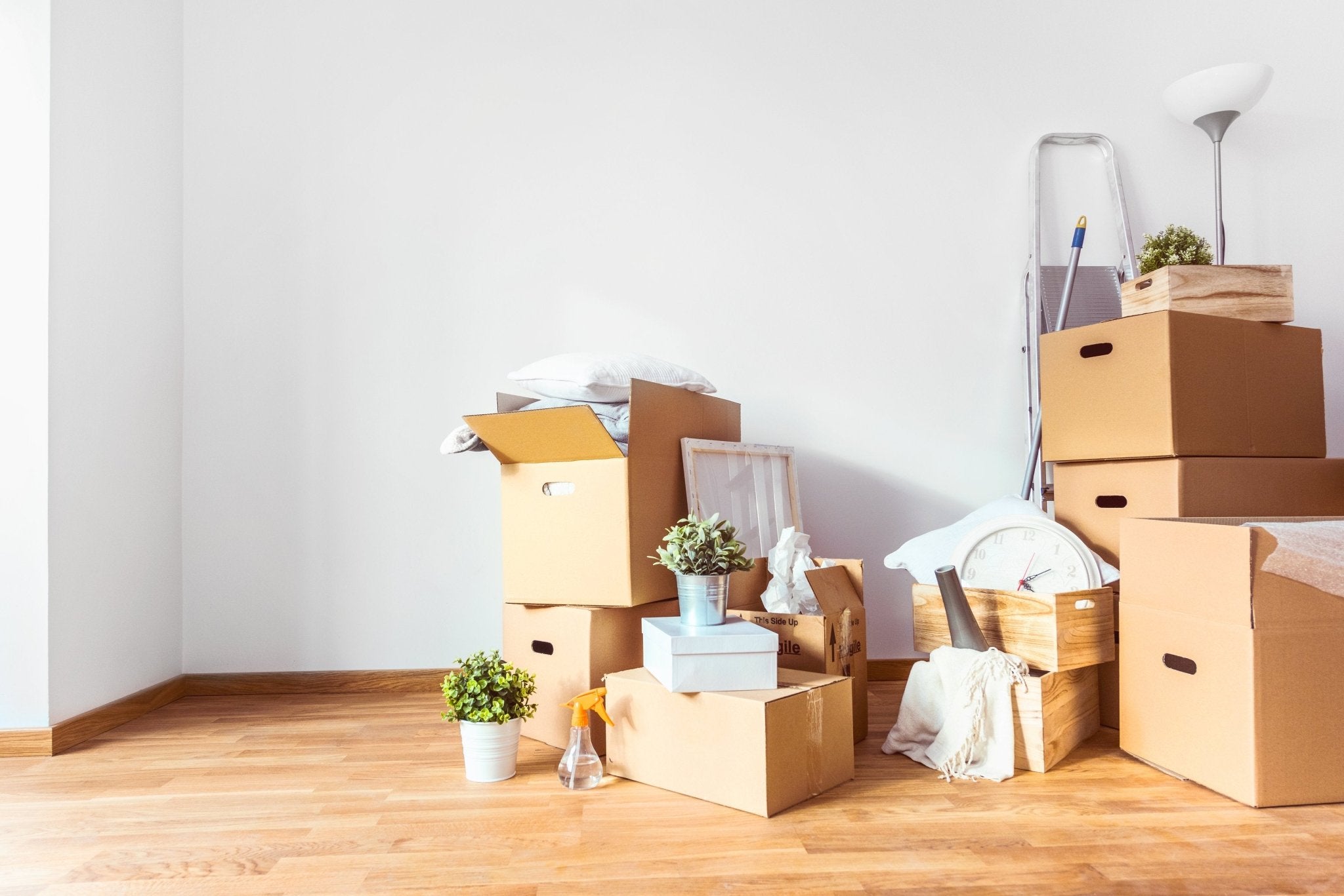 Making Friends After a Move - Lumitory